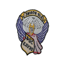 504th Parachute Infantry Regiment (PIR)
