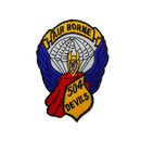 504th Parachute Infantry Regiment (PIR)