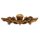 Novelty USN USMC Gold Jump Wings Pin