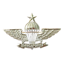 Singapore Armed Forces Senior Parachutist Badge