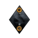 NZ Army 2CantNMWC Badge