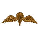 British Army Tropical Parachutist Wings Badge, Item 2