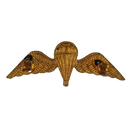 British Army Tropical Parachutist Wings Badge, Item 2