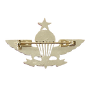 Singapore Armed Forces Senior Parachutist Badge
