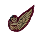 Pakistan Parachute Jump Instructor Bullion Patch