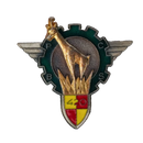 French 420th Paratrooper Command and Support Battalion Badge
