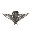 South Vietnamese ARVN Airborne Parachutist Wings Badge
