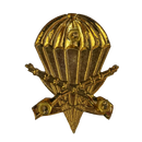 Argentine Army Airborne Infantry Beret Badge, Item 2