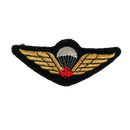 Canadian Armed Forces Basic Parachutist Qualification Patch, Item 2