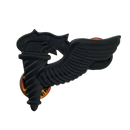 US Army Black Pathfinder Qualification Badge
