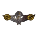 South Vietnam Senior Parachutist Badge