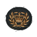 Canadian Armed Forces Master Warrant Officer Rank Patch