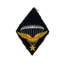 Free French WW2 1st Parachute Infantry Regiment Wings Patch