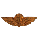 Post-WWII British SAS Tropical Dress Parachute Wings