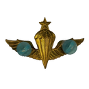 Republic of Korea Navy 1960s Senior Parachutist Badge