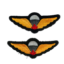 Canadian Armed Forces Basic Parachutist Qualification Wings Patch Pair