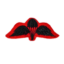 British Army 2nd Gurkha Rifles Parachutist Wings Patch