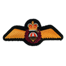 Royal Canadian Air Force Search And Rescue Technician Patch, Item 3