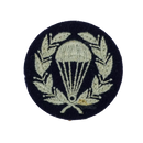 British Royal Air Force Parachute Jump Training Instructor Patch
