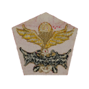 Republic of Korea Marine Special Forces Parachute Wings Patch