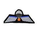 Dutch Army Parachute A-Wing Qualification Badge with Gold Star, Item 2