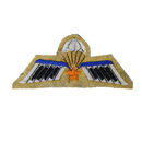 Dutch Army Parachute A-Wing Qualification Badge with Gold Star, Item 2