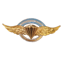 Argentine Army Parachutist Badge - Army & Outdoors - Flags, Badges & Insignia