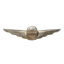 Austrian Armed Forces Free Fall Parachutist Badge