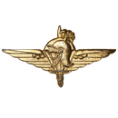 Belgian Paratrooper Commando Gold Badge - Belgian Army Surplus - Flags, Badges & Insignia