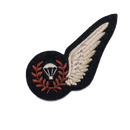 British Air Force WW2 Parachute Jump Instructor Patch