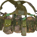 British Army DPM PLCE Web Set - Medium