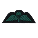 British Army Royal Irish Regiment Parachute Jump Wings