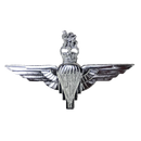 British Parachute Regiment Beret Badge