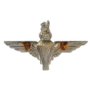 British WWII Parachute Regiment Beret Badge, Item 2