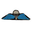 Bullion Paratrooper Badge - Army & Outdoors - Flags, Badges & Insignia