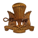 Canadian Parachute Corps Beret Badge