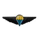 Ciskei Defence Force (CDF) Parachute Wing - Basic Badge, Item 2