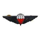 Ciskei Defence Force (CDF) Parachute Wing - Halo Badge