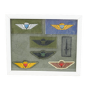 Danish Army Parachute Qualification Wings Display Board, Item 2