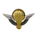 Democratic Republic of the Congo Army Parachutist Badge - Army & Outdoors - Flags, Badges & Insignia