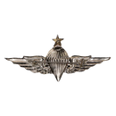 Egyptian Army 3rd Class Parachute Wings Badge