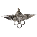 Egyptian Army Parachute Instructor Badge
