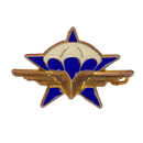 French 1st Parachute Chasseur Regiment Badge