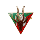 French 2nd Company, 2nd Foreign Parachute Regiment Badge