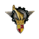French 420th Paratrooper Command and Support Battalion Badge