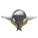 French Army Parachute Badge, Item 2