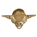 French Army Parachute Instructor Badge