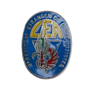 French Foreign Legion 2nd Parachute Regiment Badge, Item 2