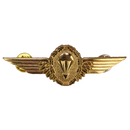 German Bundeswehr Gold Parachutist Badge