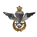Imperial Iranian Army Airborne Master Jump Wings Badge